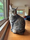 MARY - Offered by Owner