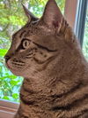 MARY - Offered by Owner