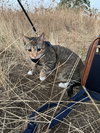 MISDEMEANOR - Offered by Owner