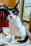 BERTIE