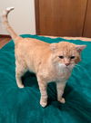 MILES - Offered by Owner