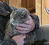 BUGZY - Offered by Owner - Senior Lady