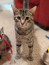 LUNA - As Sweet as they Come!