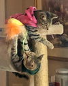 LILI and MIA - Offered by Owner - Teen Sister Pair
