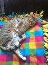 MIA and LILI - Offered by Owner - Teen Sisters