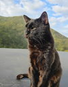 BRUCE - Offered by Owner - Indoor/Outdoor