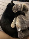 GOMA - Offered by Owner - Snuggle Buddy