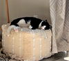 OLIVER - Offerd by Owner