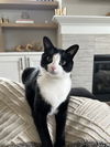 OLIVER - Offerd by Owner
