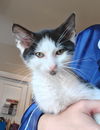 Carter – The Sweetest Little Companion!