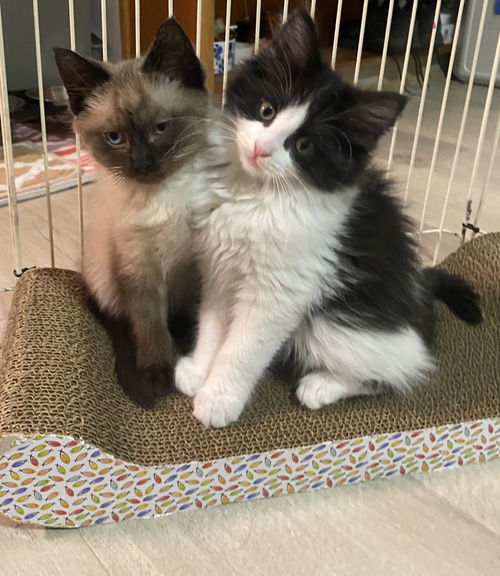 Beautiful Boys