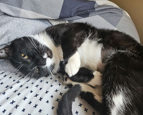 BRI - Offered by Owner - Friendly Female