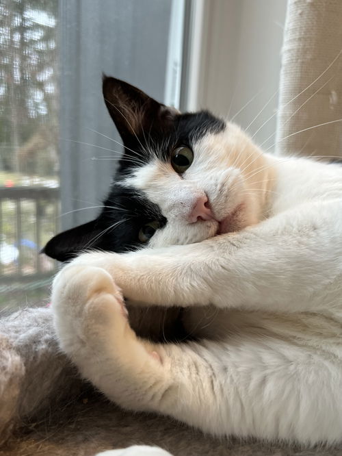 LUNA - Offered by Owner