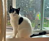 LUNA - Offered by Owner