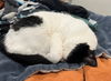 LUNA - Offered by Owner