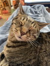 POE - Offered by Owner - Friendly Senior