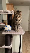 POE - Offered by Owner - Friendly Senior