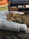 POE - Offered by Owner - Friendly Senior