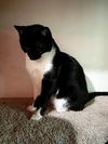 ILLUMI - Offered by Owner - Needs Stability