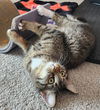 Callie & Cleo Teen sisters