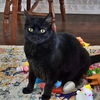 FREYA- Offered by Owner