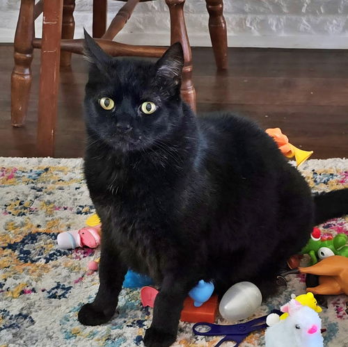 FREYA- Offered by Owner