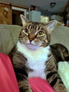 SPINELLI & TJ - Offread by Owner - Bonded Pair