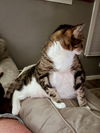 SPINELLI & TJ - Offread by Owner - Bonded Pair