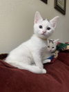 Baby Ellie and Lyla - Sweet Sisters!