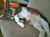 ZOOZ - Offered by Owner