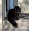 MOIRA - Offered by Owner - Family friendly