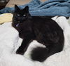 MOIRA - Offered by Owner - Family friendly