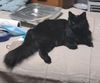 MOIRA - Offered by Owner - Family friendly