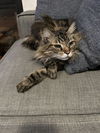 TYWIN - Offered by Owner - Young at Heart Sr.