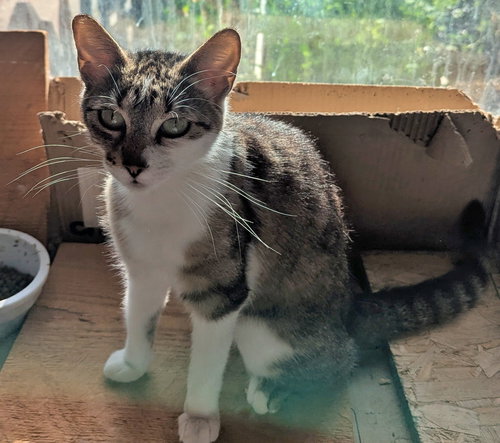 MAMA - Offered by Owner