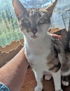 MAMA - Offered by Owner
