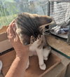 MAMA - Offered by Owner