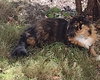 Ragina Mae- Offered by Owner - Senior