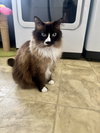 ELLIE - Offered by Owner - Snowshoe