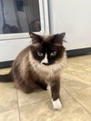 ELLIE - Offered by Owner - Snowshoe