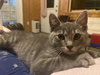 Best Buddy SPARKY