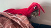 SCOTTY - Offered by Owner