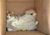 OAKLEE - Offered by Owner