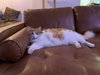 OAKLEE - Offered by Owner