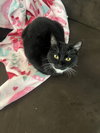Mindy (and Zulius) - Offered by Owner - In/Out