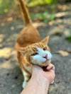 CHARLIE - Offered by Owner - Indoor/out