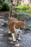 CHARLIE - Offered by Owner - Indoor/out