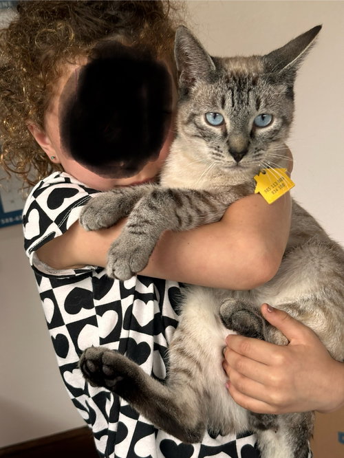ANDREW - Offered by Owner - Young Lynx Pt.