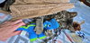 TOM TOM - Offered by Owner - Special Needs