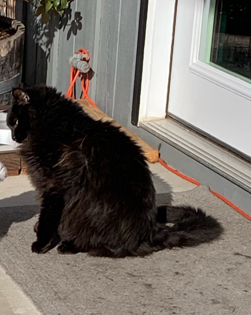 KOBE #1679 - Offered by Owner - Indoor/outdoor